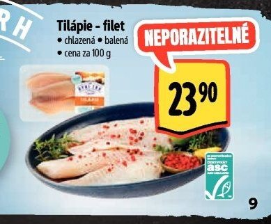 Tilápie - filet