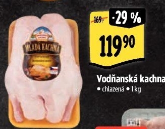 Kachna Vodňanská kachna