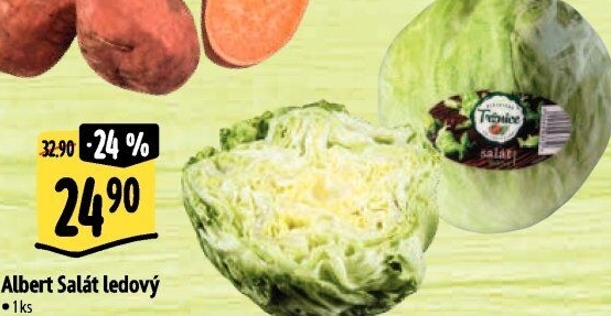Salát ledový Albert