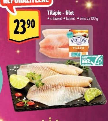 Tilápie - filet