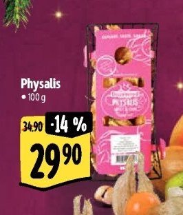 Physalis