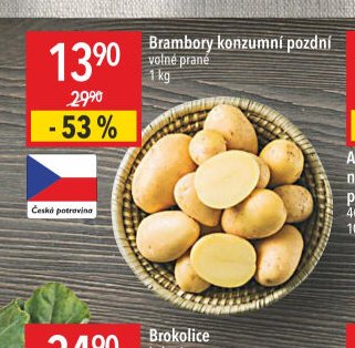 Brambory konzumní pozdní