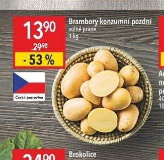 Brambory konzumní pozdní