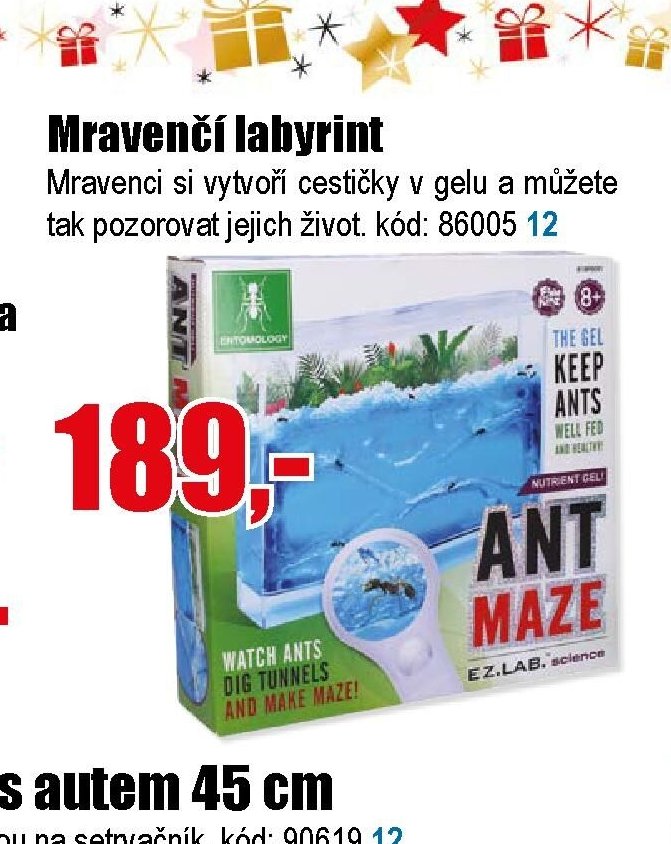 Mravenčí labyrint
