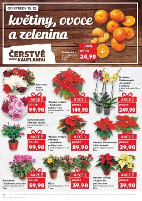 akční leták Kaufland 13.12.2023-19.12.2023