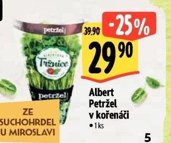 Albert Petržel v kořenáči