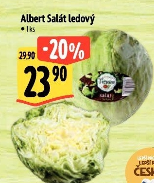 Salát ledový Albert