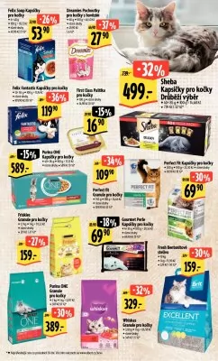 akční leták Albert 13.12.2023-17.12.2023