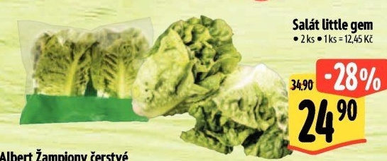 Salát little gem