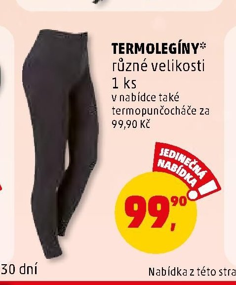 TERMOLEGÍNY*