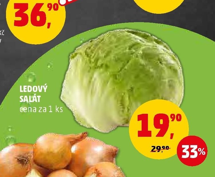 Ledový salát