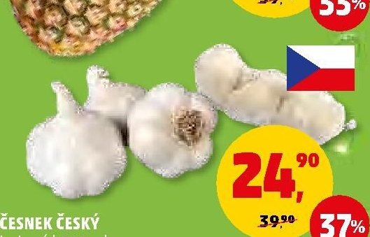 Česnek český