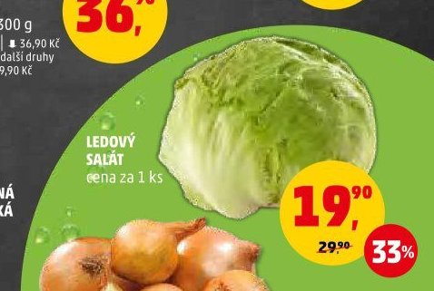 Ledový salát