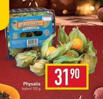 Physalis