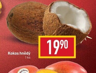 Kokos hnědý