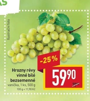 Hrozny révy vinné bílé bezsemenné