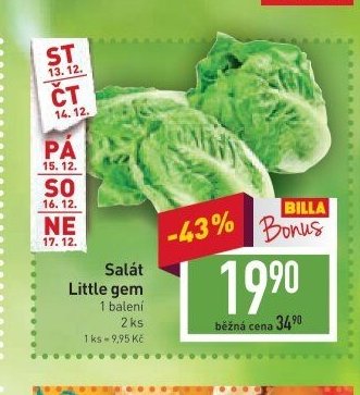 Salát Little gem