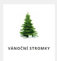 VÁNOČNÍ STROMKY - Mountfield akcniletaky.com