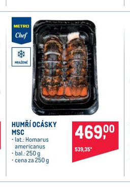 HUMŘÍ OCÁSKY MSC