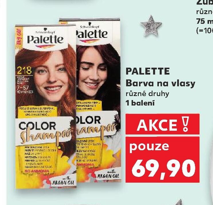 PALETTE Barva na vlasy