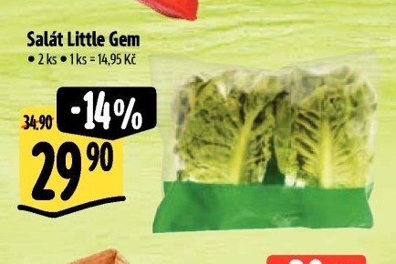 Salát Little Gem
