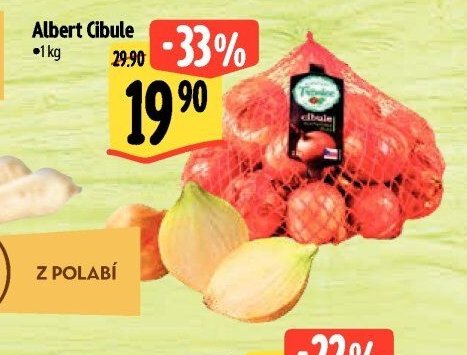 Albert Cibule