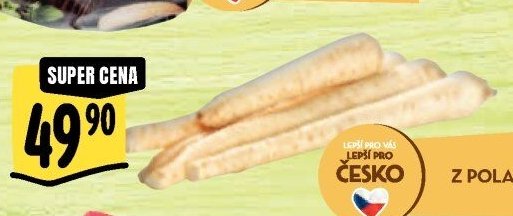 Petržel