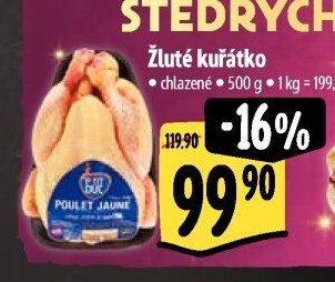 Žluté kuřátko