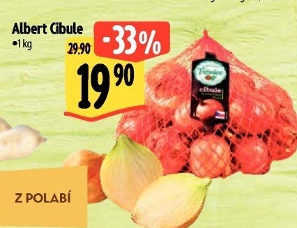 Cibule Albert