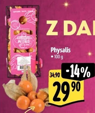 Physalis - Mochyně