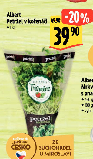 Bylinky v květináči Albert