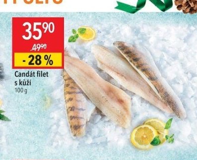 Candát filet s kůží