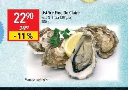 Ústřice Fine De Claire