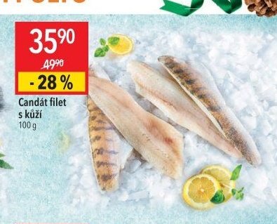 Candát filet s kůží