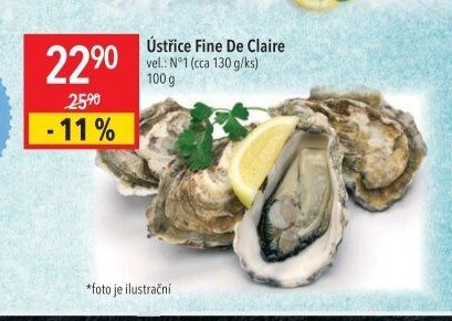 Ústřice Fine De Claire