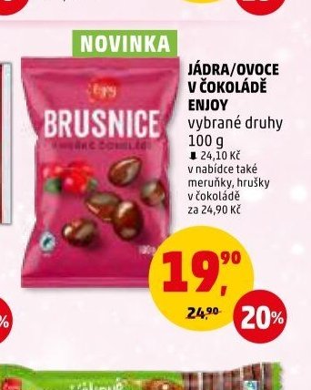 Jádra/ovoce v čokoládě Enjoy