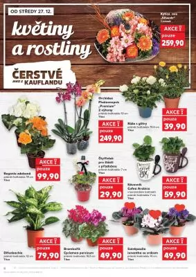 akční leták Kaufland 27.12.2023-2.1.2024