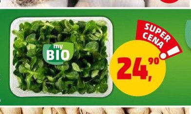 MY BIO SALÁT POLNÍČEK