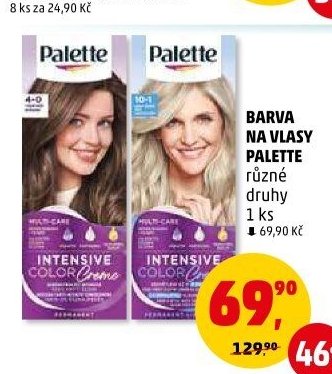 BARVA NA VLASY PALETTE