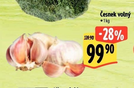 Česnek volný
