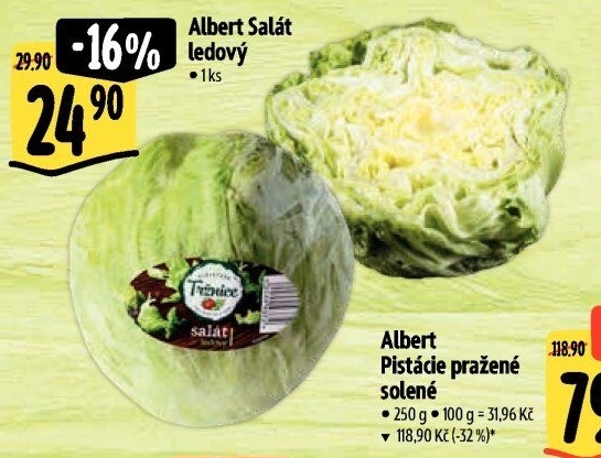 Salát ledový Albert