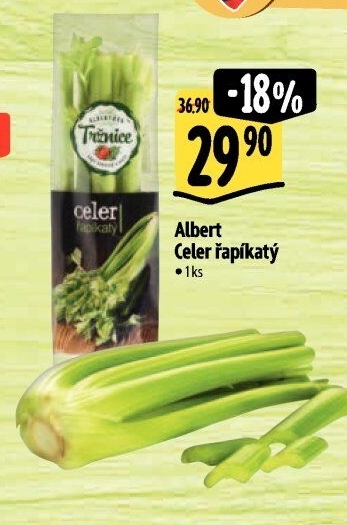 Celer řapíkatý Albert