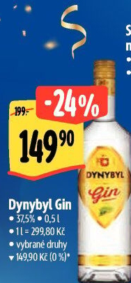 Gin Dynybyl