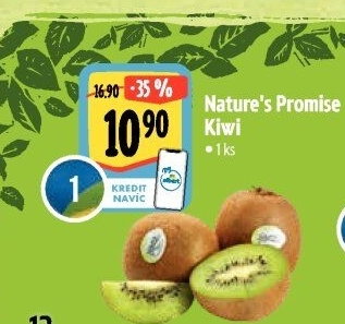 Kiwi bio Nature'