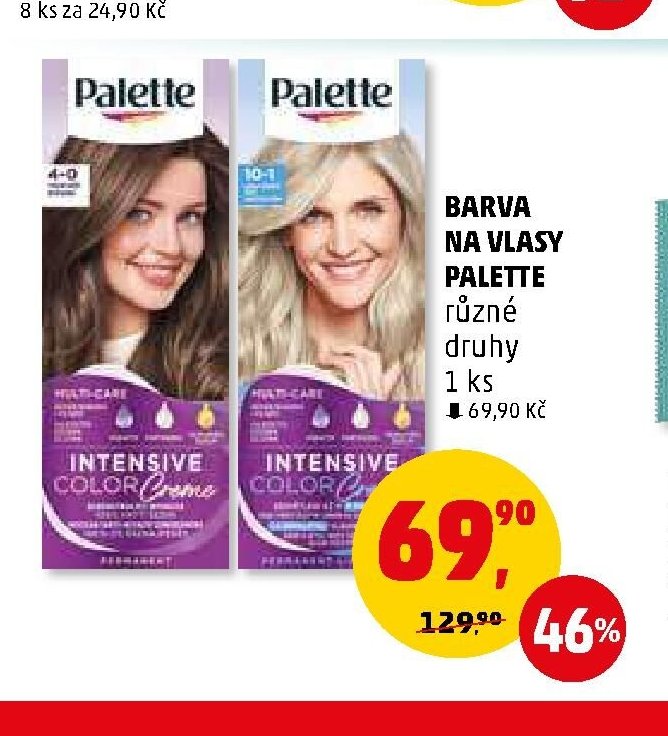 BARVA NA VLASY PALETTE