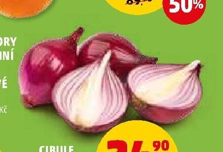 Cibule červená