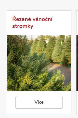 Řezané vánoční stromky - UNI HOBBY akcniletaky.com