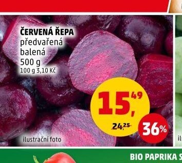 Červená řepa