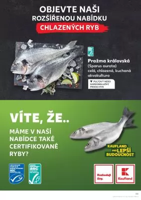 akční leták Kaufland 10.4.2024-16.4.2024