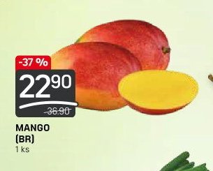 MANGO
